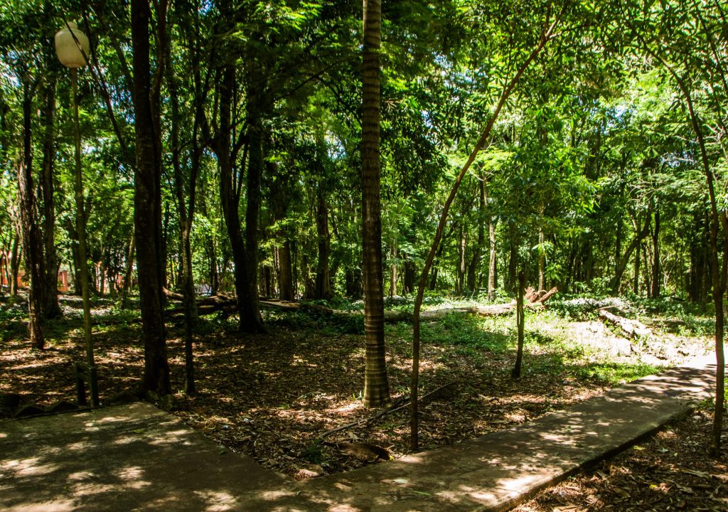 Parque Municipal Luis Honorio Rolón - Puerto Iguazú (5)