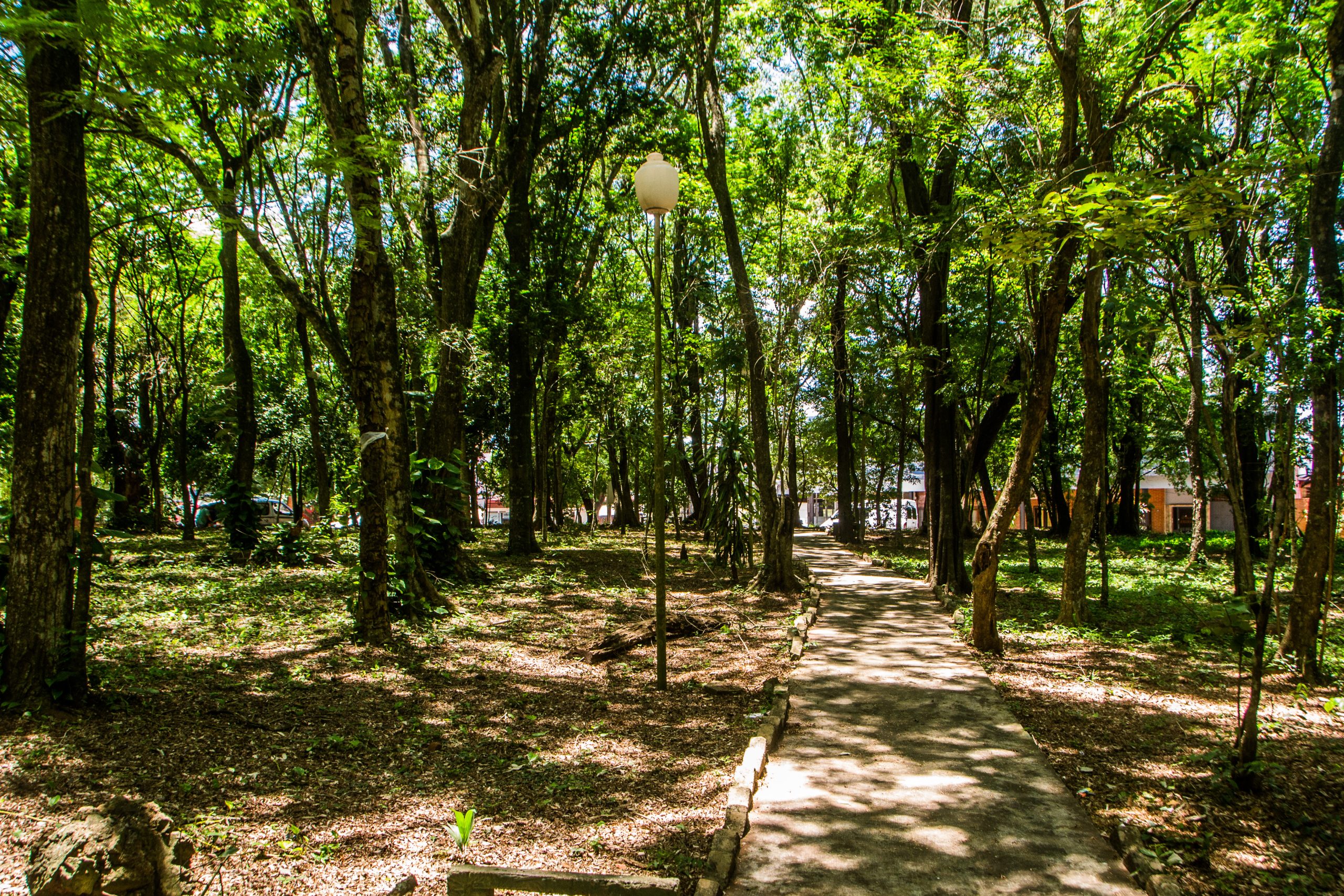 Parque Municipal Luis Honorio Rolón - Puerto Iguazú (6)