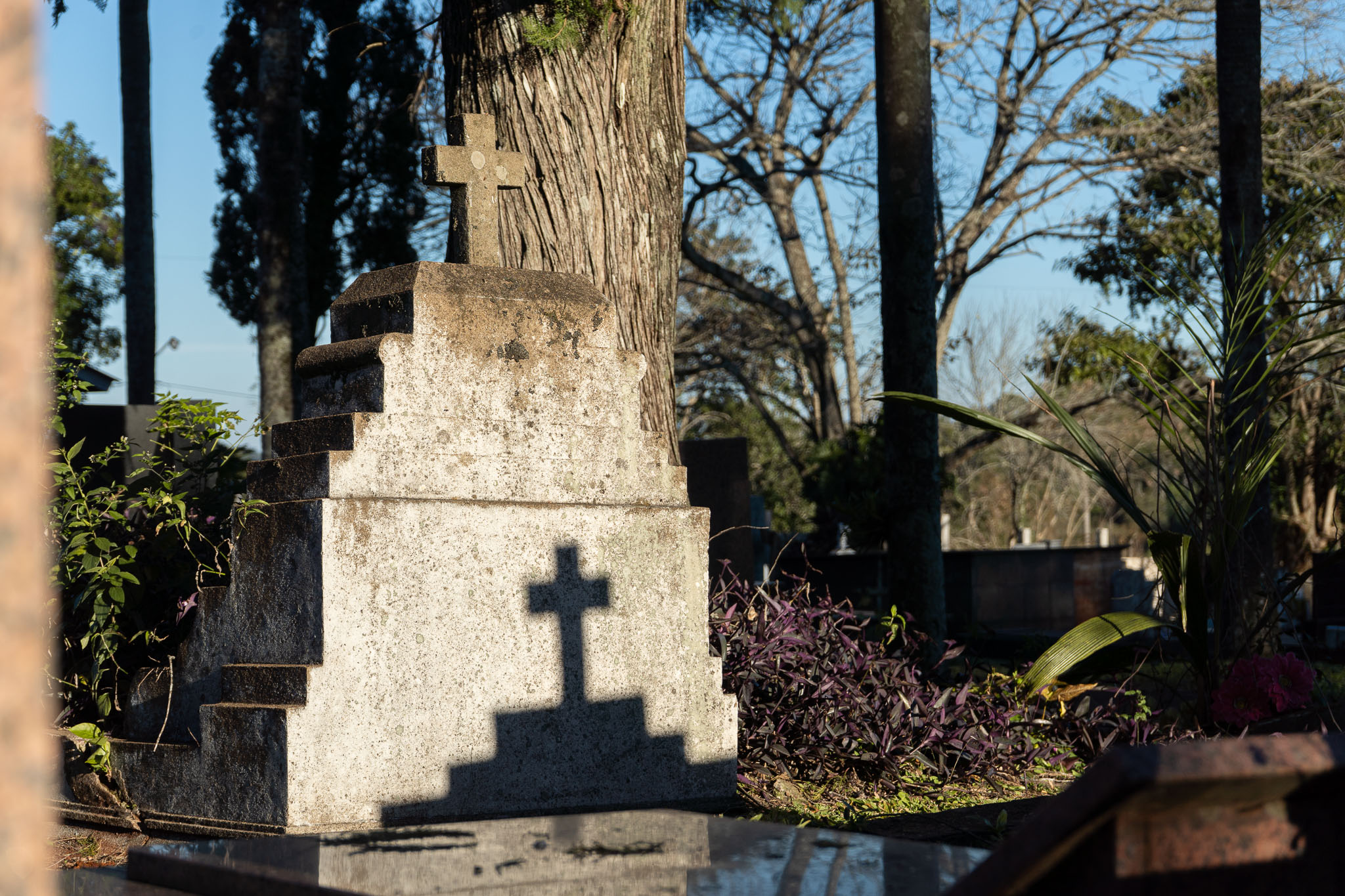 Cementerio antiguo-31